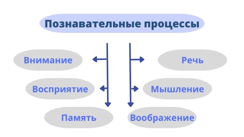 Интеллектуальная готовность к школе